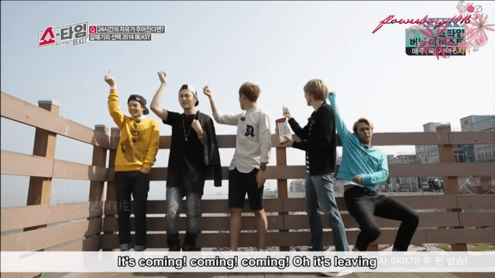 seagull and beast lol